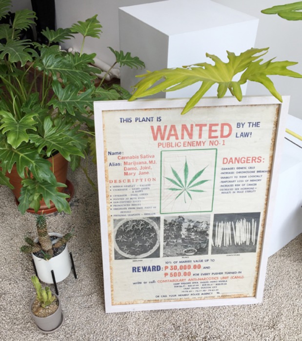 [U.S.A]60s “Marijuana” original 마리화나(대마초) poster frame.