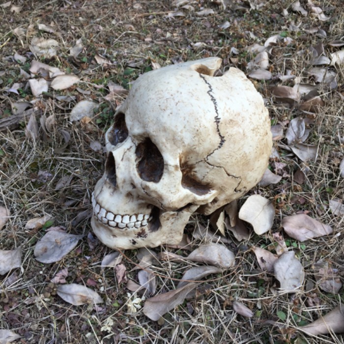 [U.S.A]90s Skull head hand-made objet.