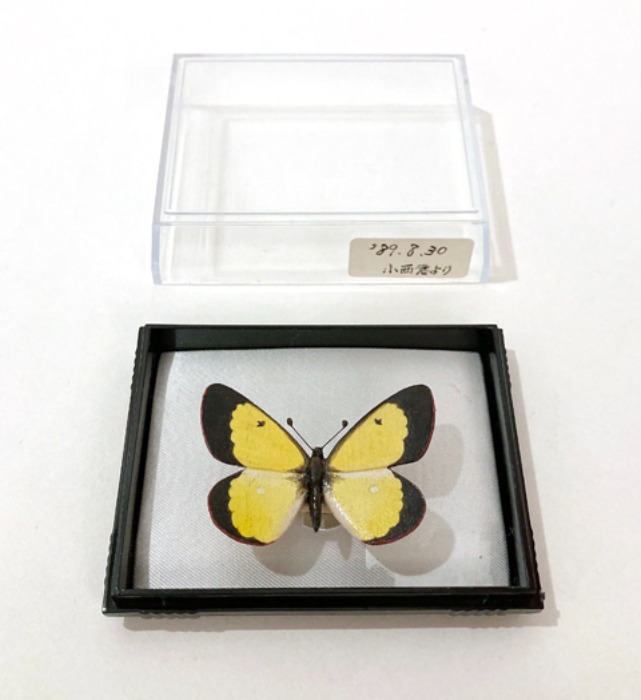 [JAPAN]80s butterfly hand-craft wood brooch.