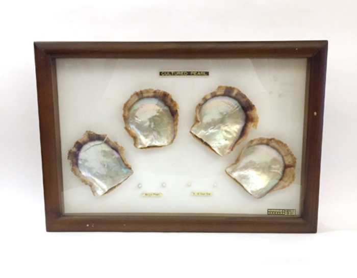 [JAPAN]90s Pearl cultured wood frame(진주 액자).