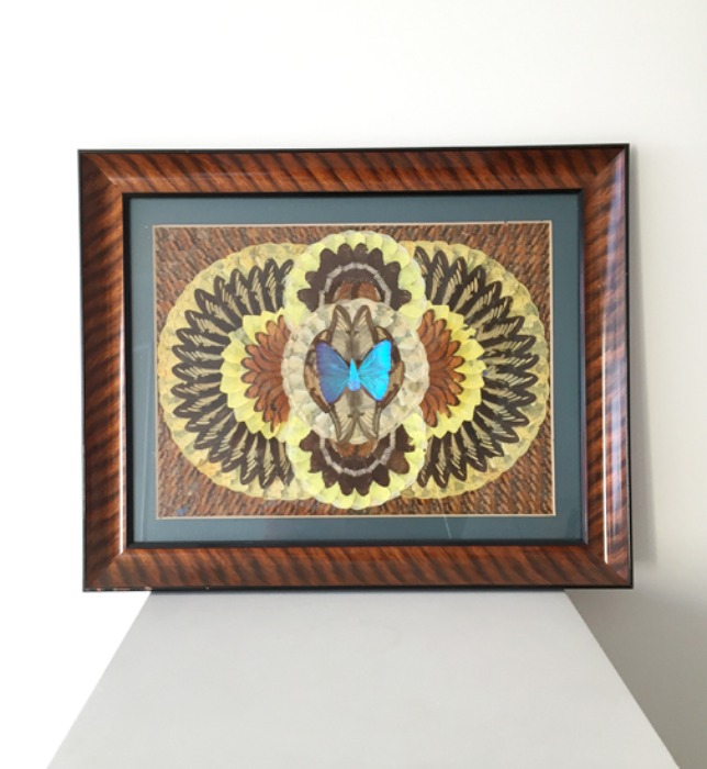 [U.S.A]70s Antique “200여마리 butterfly wing” art frame(나비 액자).