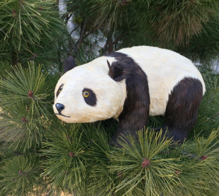 [U.S.A]80s Panda bear original fur figure(팬더곰).