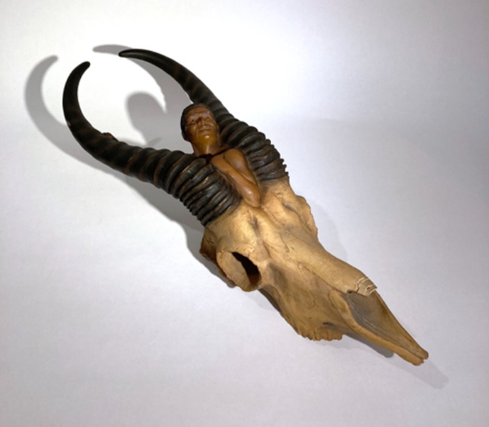 [U.S.A]90s impala skull &amp; horns bushman design hunting trophy.