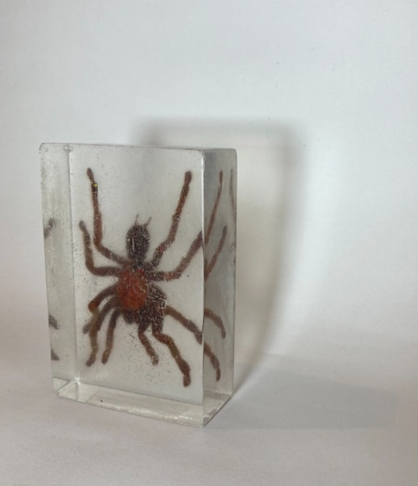 [U.S.A]80s Talantula spider 타란툴라 거미 paper-weight.